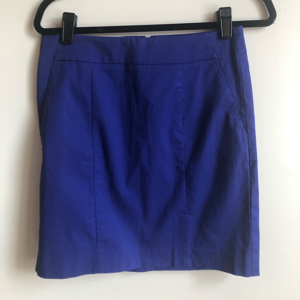 Gorgeous Ann Taylor Skirt